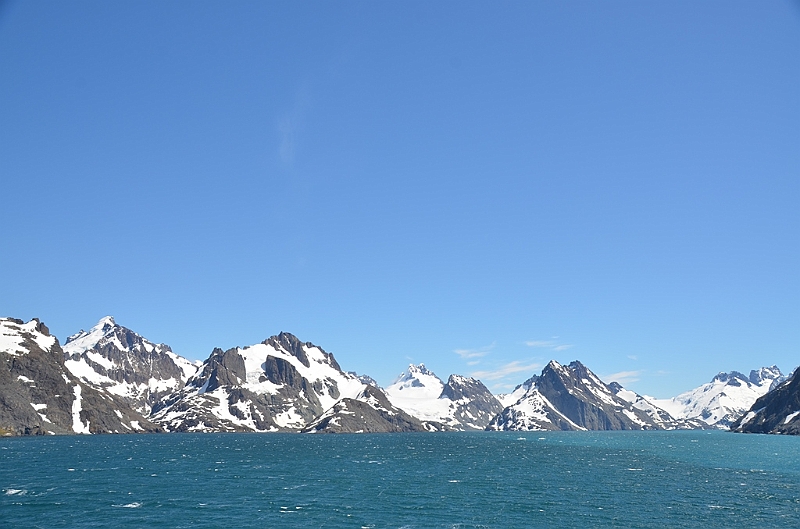 355_Antarctica_South_Georgia_Drygalski_Fjord .JPG